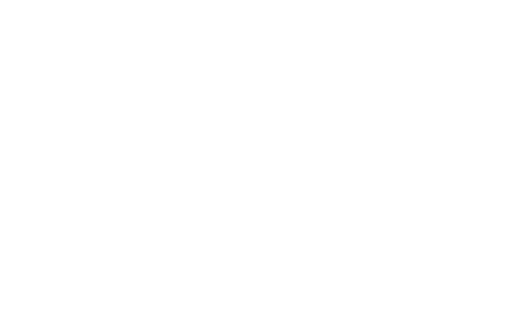Boston Chimney Sweep